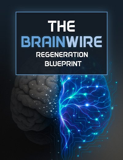 The Brainwire Regeneration Blueprint digital bonus guide